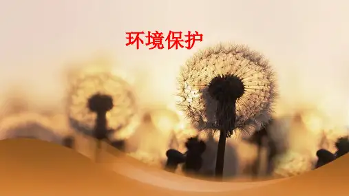 高考地理二轮复习专题之《环境保护》课件(共57张PPT)