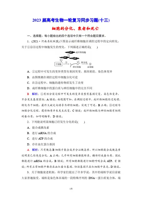 2023届高考生物一轮复习同步习题(13) 细胞的分化、衰老和死亡