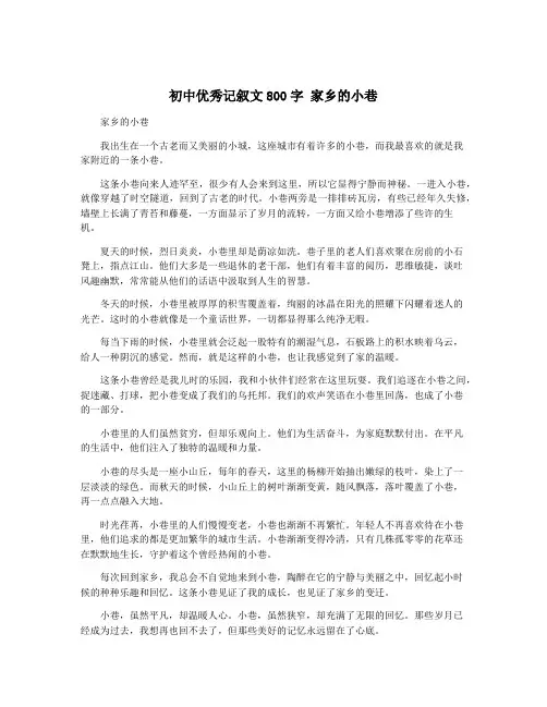 初中优秀记叙文800字 家乡的小巷