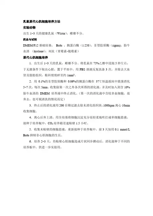 乳鼠原代心肌细胞培养方法