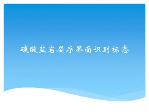 碳酸盐岩层序界面识别标志