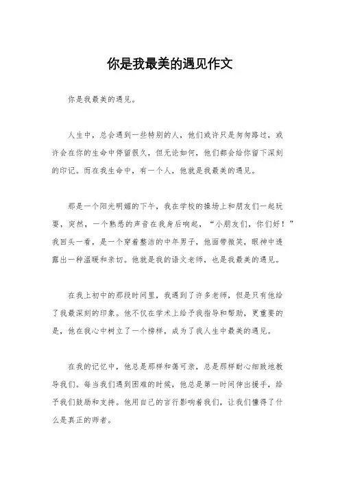 你是我最美的遇见作文