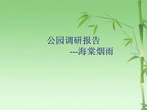 公园调研报告(共28张PPT)