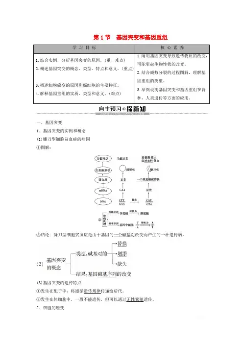 2019-2020学年新教材高中生物第5章基因突变及其他变异第1节基因突变和基因重组教学案新人教版必修第二册
