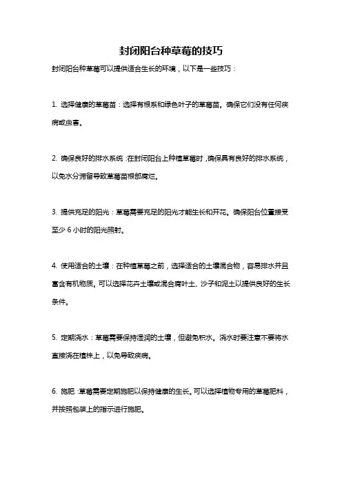 封闭阳台种草莓的技巧