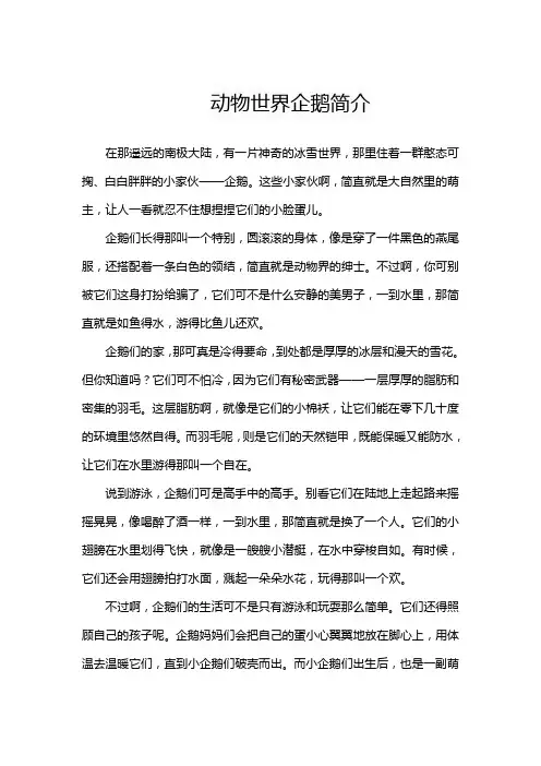 动物世界企鹅简介