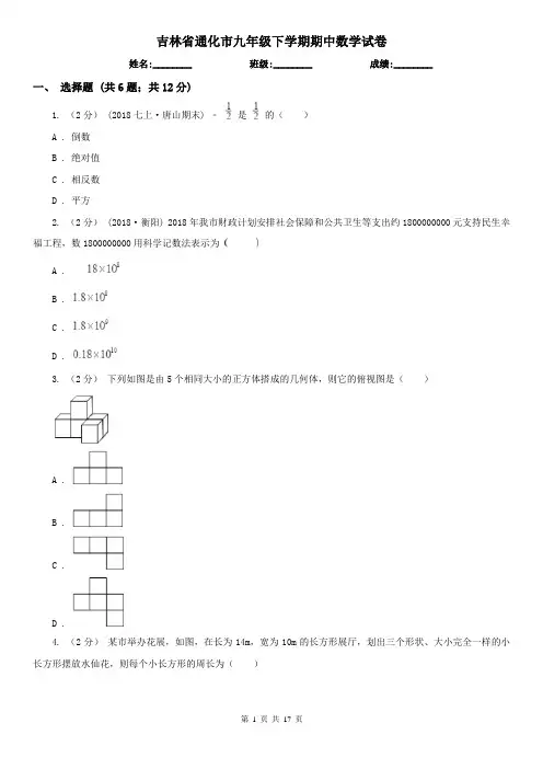 吉林省通化市九年级下学期期中数学试卷