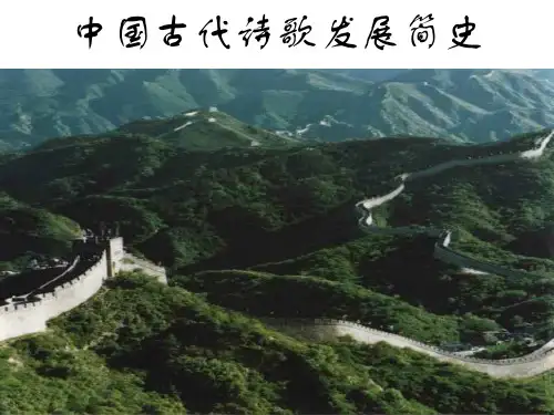 中国古代诗歌发展简史简史