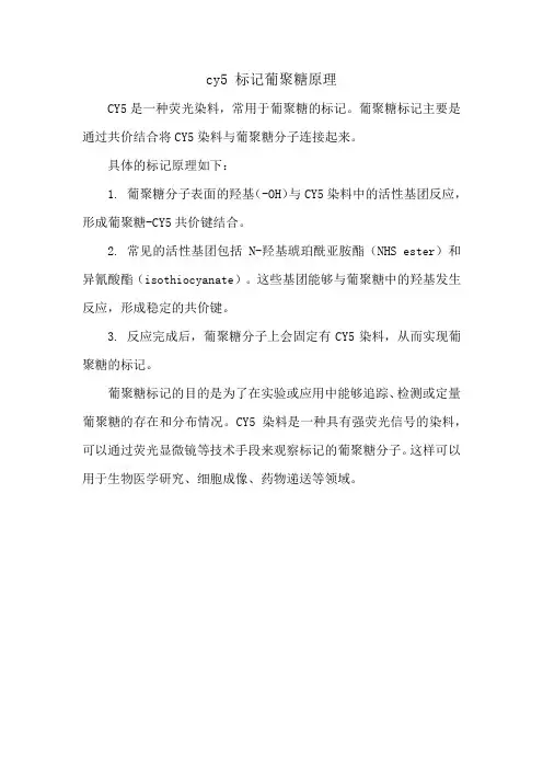 cy5 标记葡聚糖原理