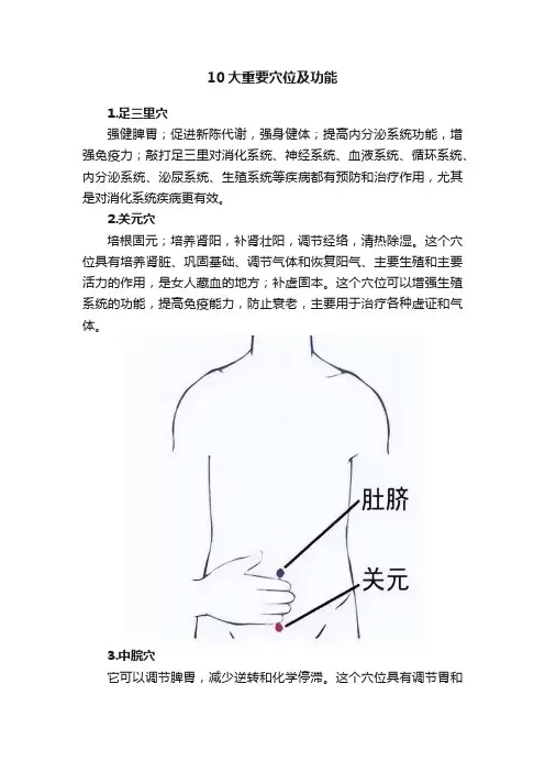 10大重要穴位及功能