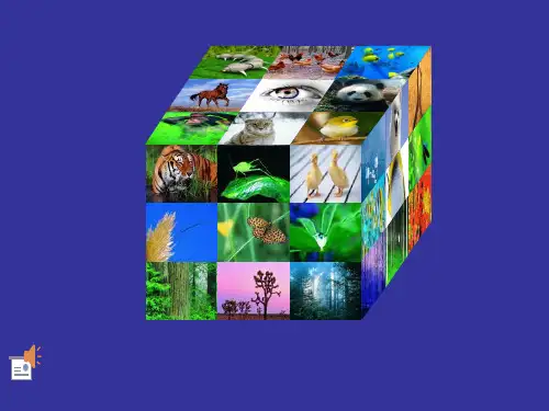沪科版初中七年级上册数学：多彩的几何图形(3)