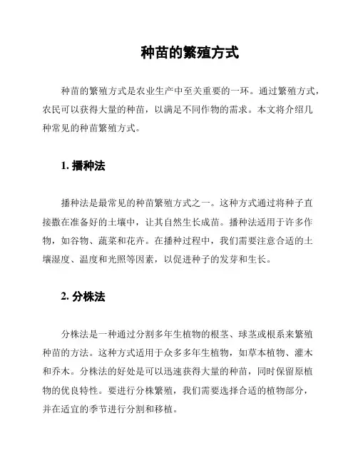  种苗的繁殖方式