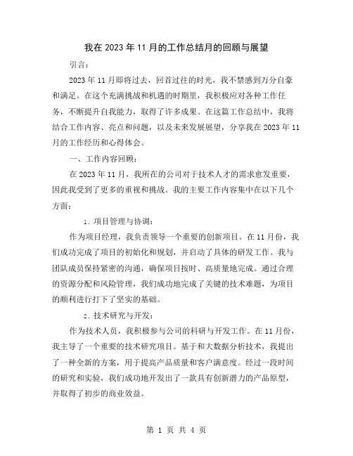 我在2023年11月的工作总结