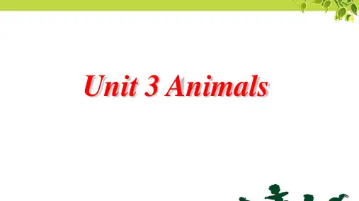 四年级下册英语课件：Unit 3 Animals(2).ppt-join in剑桥英语 (共19张PPT)