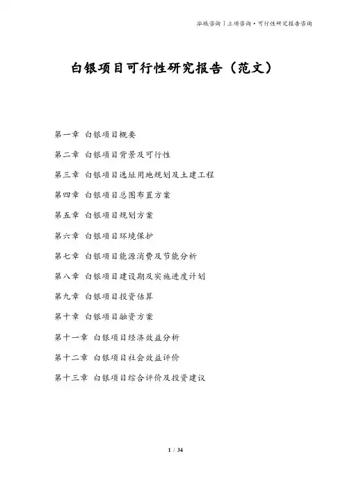 白银项目可行性研究报告(范文)