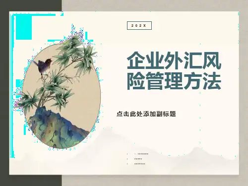 企业外汇风险管理