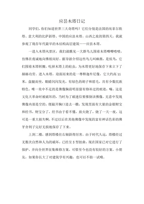 应昙木塔日记