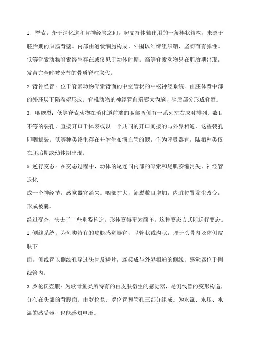 动物学(1)：名词解释