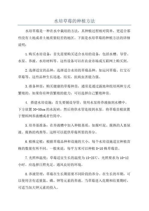 水培草莓的种植方法