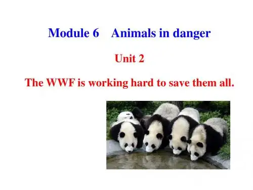 【最新】外研版八年级英语上册Module 6 Unit 2 The WWF is working hard to save them all 精品课件