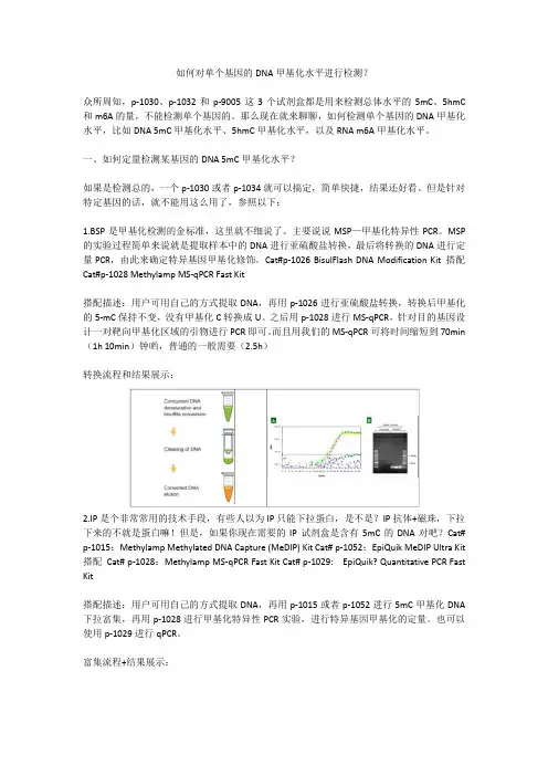 如何对单个基因的DNA甲基化水平进行检测？