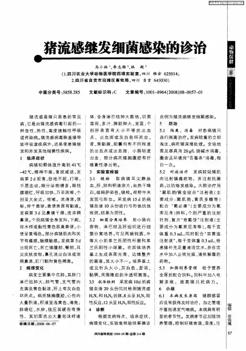 猪流感继发细菌感染的诊治