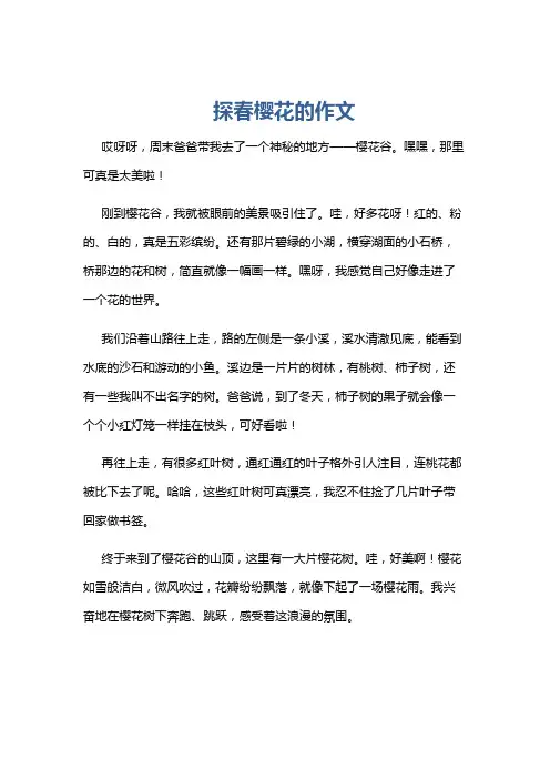 探春樱花的作文