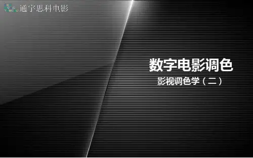 影视调色学