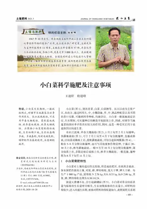 小白菜科学施肥及注意事项