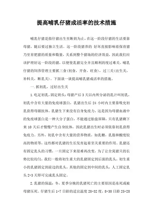 提高哺乳仔猪成活率技术措施