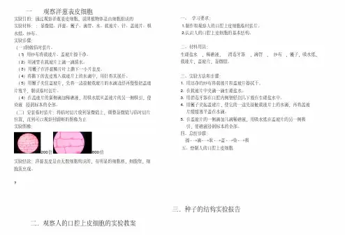 观察洋葱表皮细胞生物实验报告