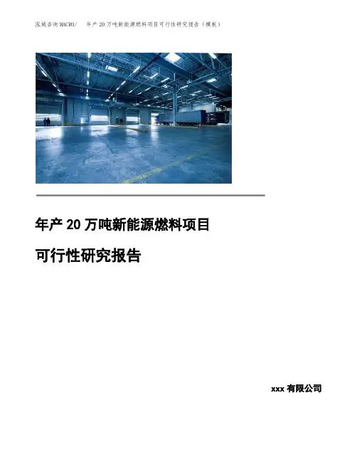 年产20万吨新能源燃料项目可行性研究报告(模板)