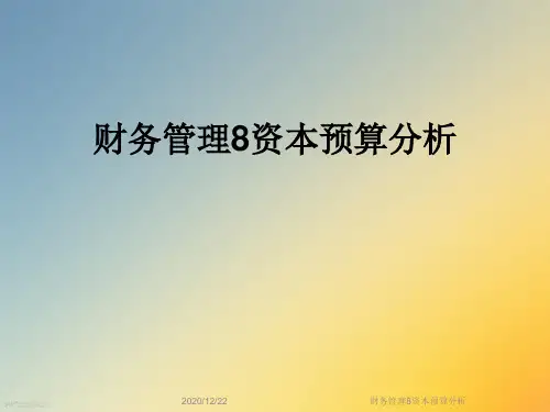 财务管理8资本预算分析