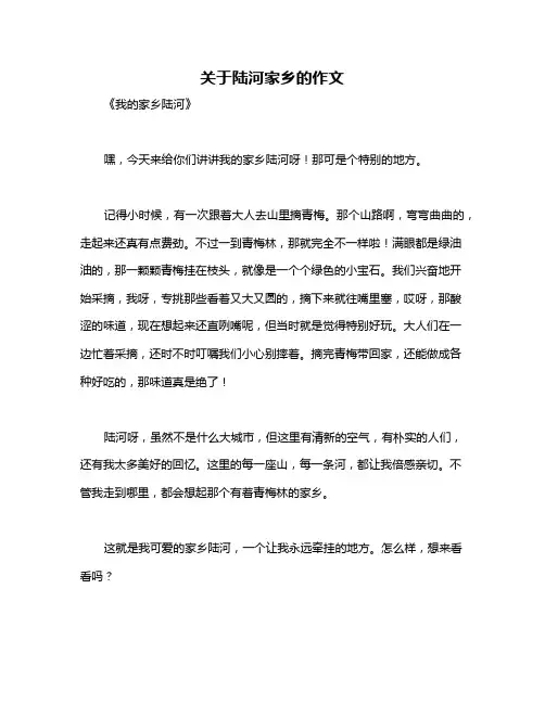 关于陆河家乡的作文