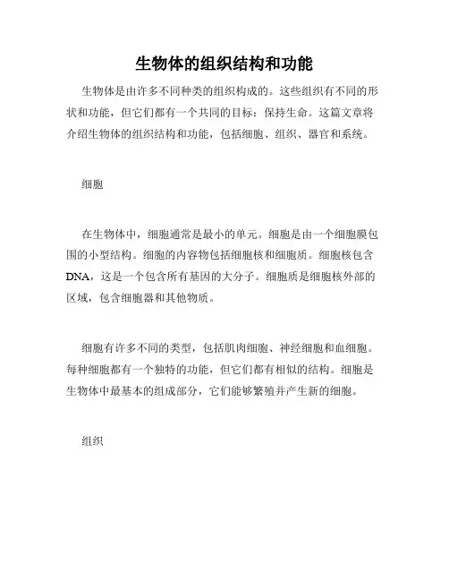 生物体的组织结构和功能