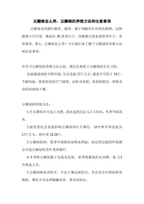 豆瓣绿怎么养,豆瓣绿的养殖方法和注意事项.doc