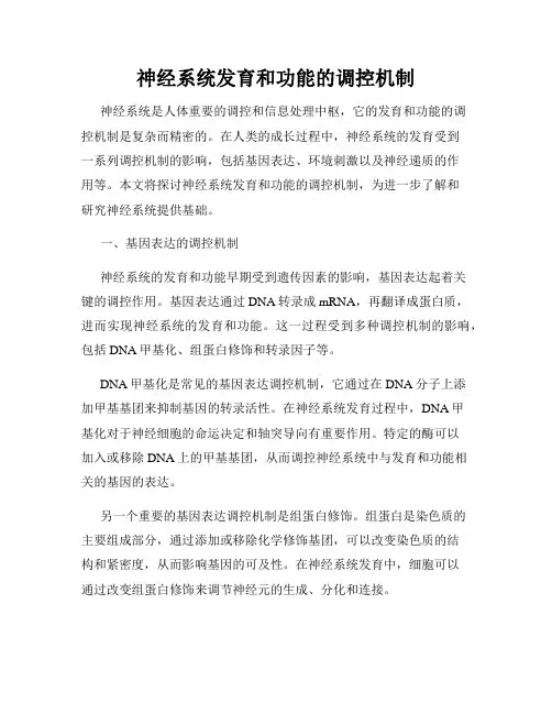 神经系统发育和功能的调控机制