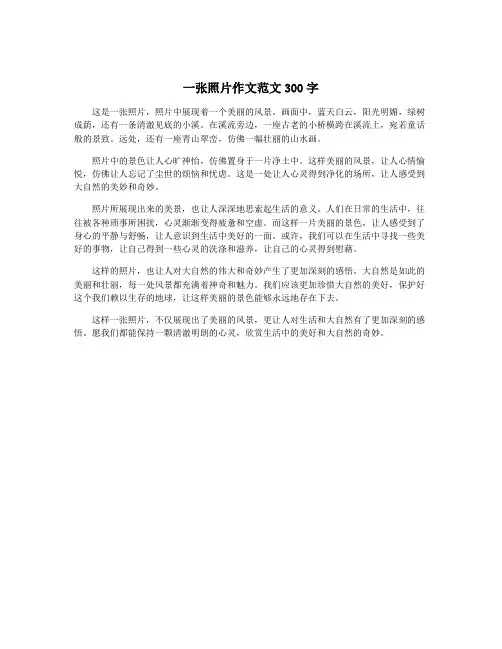 一张照片作文范文300字