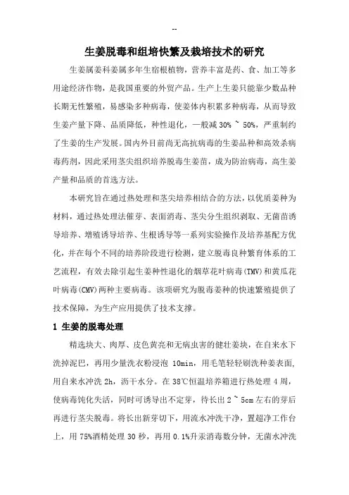 生姜脱毒和组培快繁及栽培技术的研究