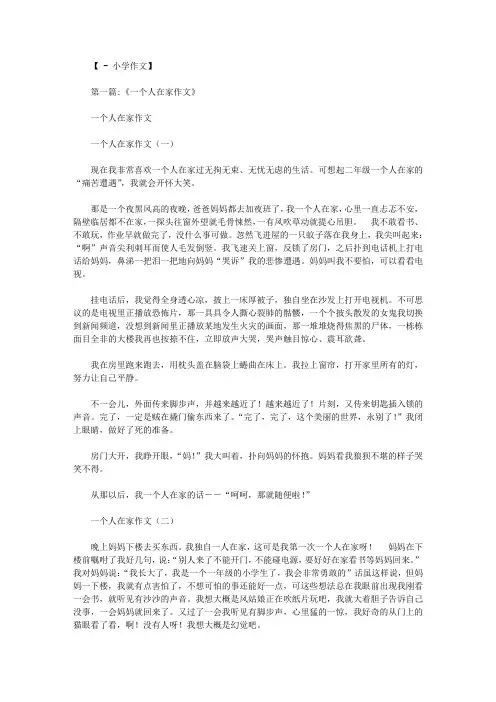 一个人在家作文600字