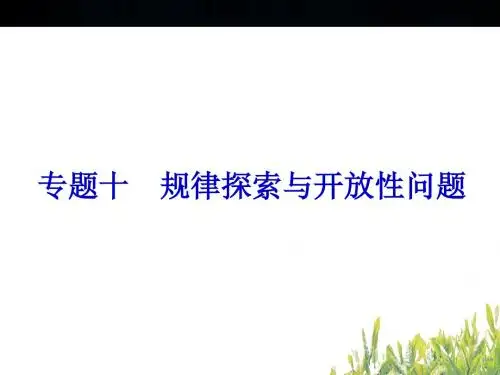 2014年中考数学专题十规律探索与开放性问题