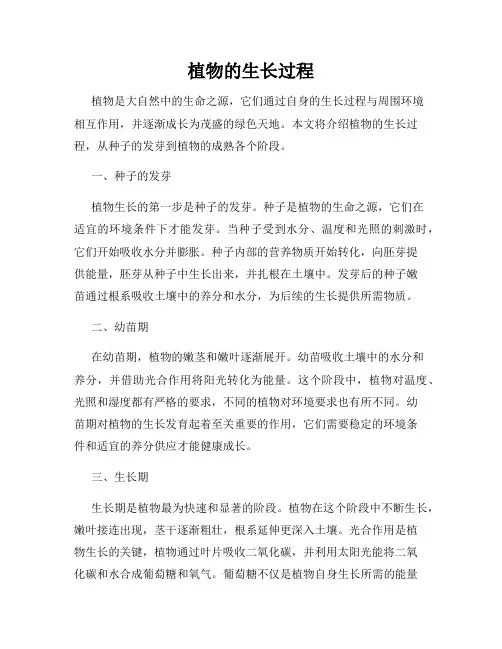 植物的生长过程