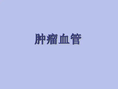 肿瘤血管