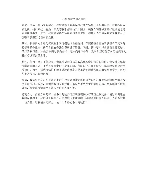 小车驾驶员自查自纠
