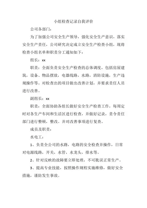 小组检查记录自我评价