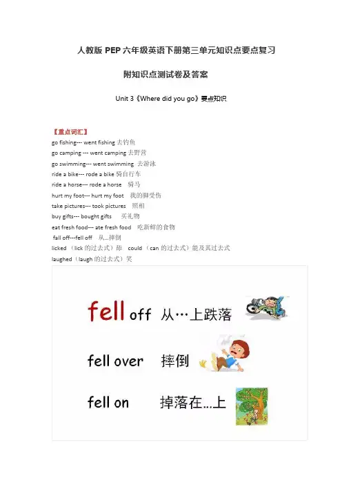 人教版PEP六年级英语下册第三单元知识点要点复习 附知识点测试卷及答案