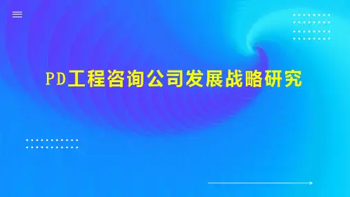 PD工程咨询公司发展战略研究
