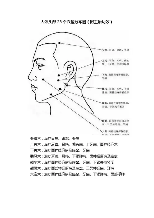人体头部23个穴位分布图（附主治功效）