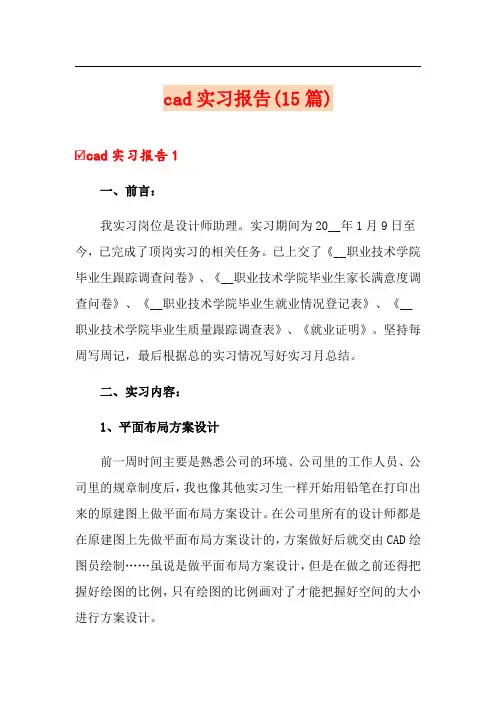 cad实习报告(15篇)