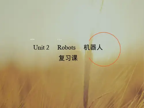 高中英语选修7 Unit 2 Robots period5 课件1 共25张 精品